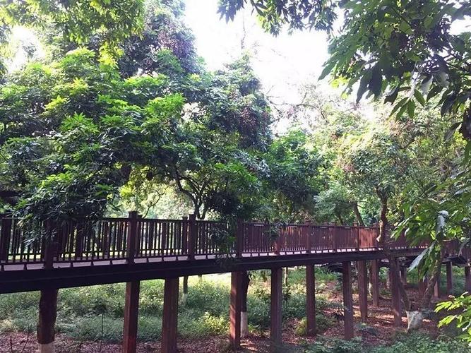 洞窝风景区可以钓鱼嘛?(张坝桂圆林公园收费)-图3 洞窝风景区可以钓鱼嘛?(张坝桂圆林公园收费)-图3
