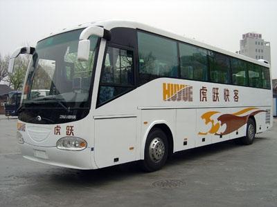 虎跃能带宠物上车么?(儿童乘坐虎跃快客怎么收费)-图2 虎跃能带宠物上车么?(儿童乘坐虎跃快客怎么收费)-图2