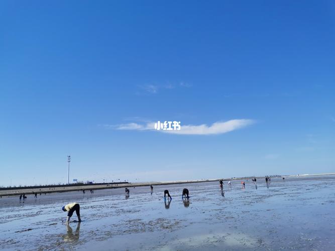 东疆湾赶海几号停车场好?(东疆湾收费)-图2 东疆湾赶海几号停车场好?(东疆湾收费)-图2