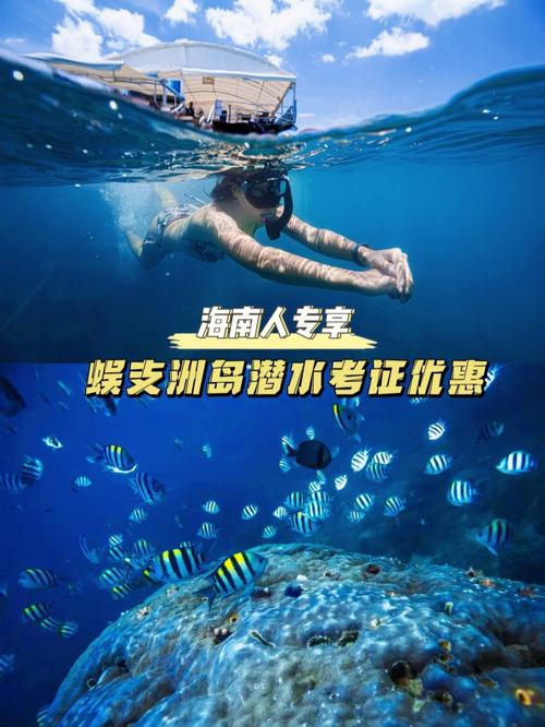 厦门有浮潜的地方吗?(海南岛潜水不收费)-图2 厦门有浮潜的地方吗?(海南岛潜水不收费)-图2