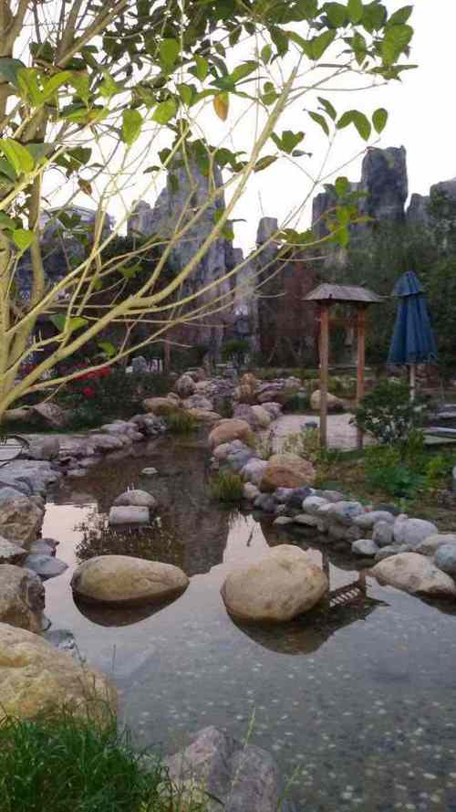 开封温泉与自助餐一体的地方？(开封东京温泉怎么收费)