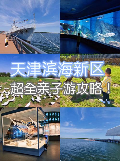 滨海新区有什么好玩的地方?滨海新区有什么好?(天津龙达彩虹冰雪乐园收费标准)-图2 滨海新区有什么好玩的地方?滨海新区有什么好?(天津龙达彩虹冰雪乐园收费标准)-图2