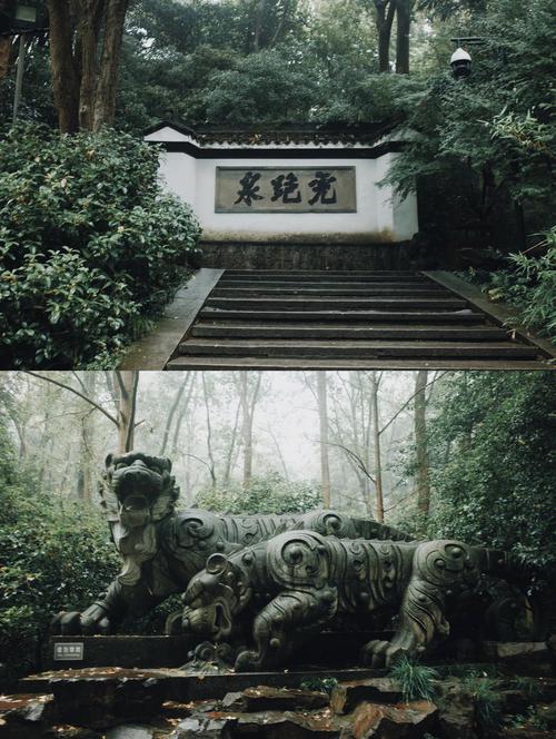 虎跑公园大概多久游完？(杭州虎跑公园收费吗)