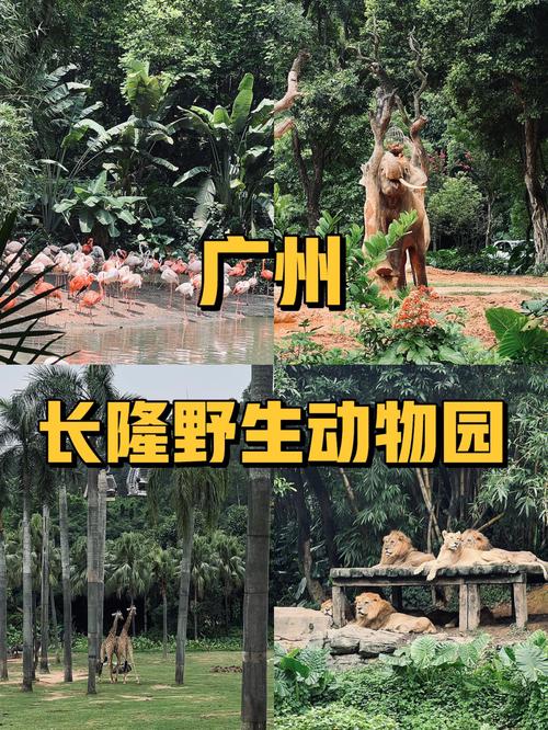 长隆野生动物园门票全票多少?(广州长隆野生动物园军人收费吗)-图2 长隆野生动物园门票全票多少?(广州长隆野生动物园军人收费吗)-图2