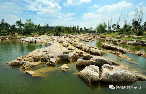 自贡到雅安多少时间？(徐州凤鸣海景区收费吗)