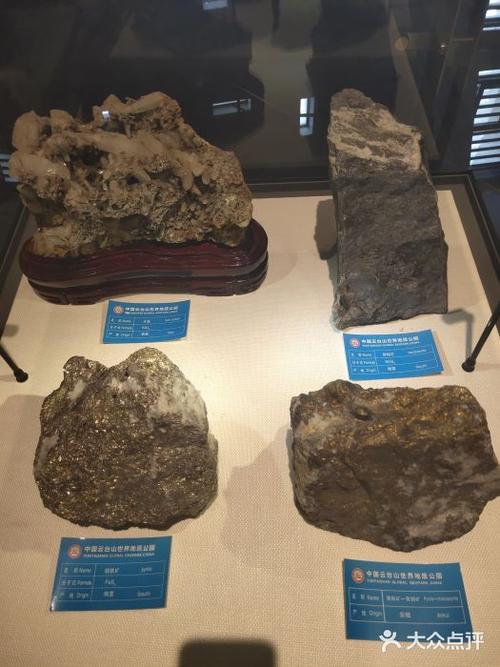 金州地质博物馆收费吗？(郑州市地质博物馆收费吗)