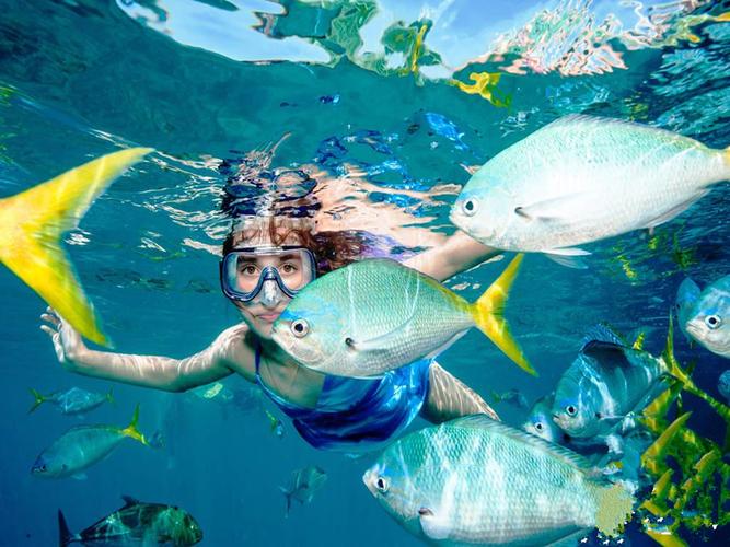 那儿有海边玩水?(蓝梦岛浮潜收费)-图2 那儿有海边玩水?(蓝梦岛浮潜收费)-图2