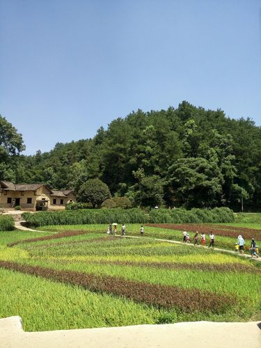 遵义到湖南自驾攻略？(韶山 景区 收费)