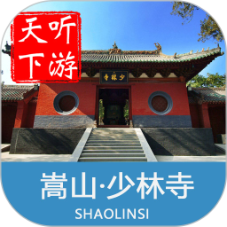 少林寺游玩导游怎么找？(少林寺导游收费)-图3
