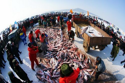 镜泊湖三宝?(镜泊湖冬捕收费)-图2 镜泊湖三宝?(镜泊湖冬捕收费)-图2