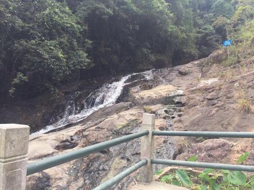 南昆山五一人多吗?(南昆山徒步也要收费)-图3 南昆山五一人多吗?(南昆山徒步也要收费)-图3