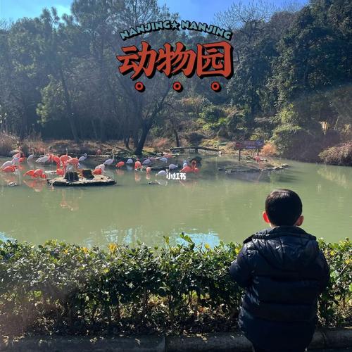 野生动物园可以摸小动物吗？(野生动物园游乐项目收费吗)