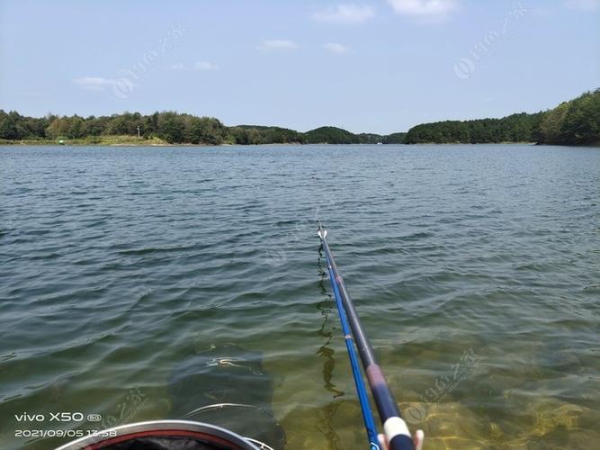 四川野钓地点排行榜？(九江白水湖钓鱼收费)