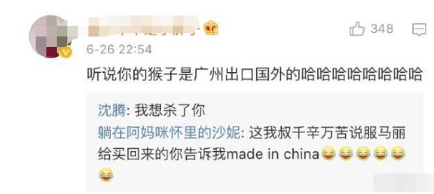 沈腾买猴商家回复原文?(摩洛哥快递收费)-图2 沈腾买猴商家回复原文?(摩洛哥快递收费)-图2