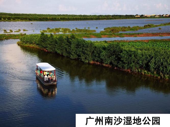 南沙湿地免费门票?(南沙湿地公园停车收费)-图3 南沙湿地免费门票?(南沙湿地公园停车收费)-图3