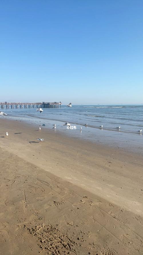 秦皇岛不要门票的海滩有哪些?(秦皇岛海滩停车收费)-图3 秦皇岛不要门票的海滩有哪些?(秦皇岛海滩停车收费)-图3