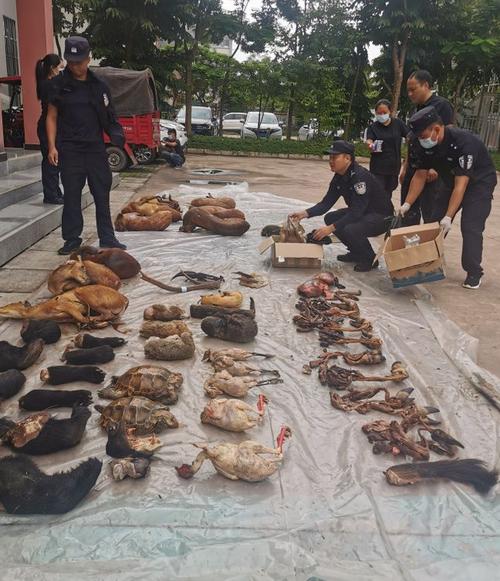 中国12种濒危动物?(山西猎场收费)-图1 中国12种濒危动物?(山西猎场收费)-图1
