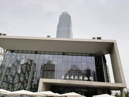 上海自然博物馆停车费用?(上海收费的博物馆在哪)-图3 上海自然博物馆停车费用?(上海收费的博物馆在哪)-图3