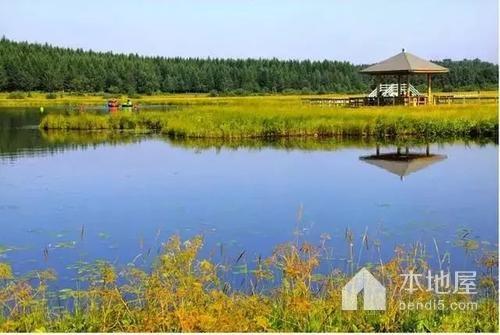 沈阳沈北有哪里好玩的地方?(沈北湿地公园怎么收费)-图3 沈阳沈北有哪里好玩的地方?(沈北湿地公园怎么收费)-图3