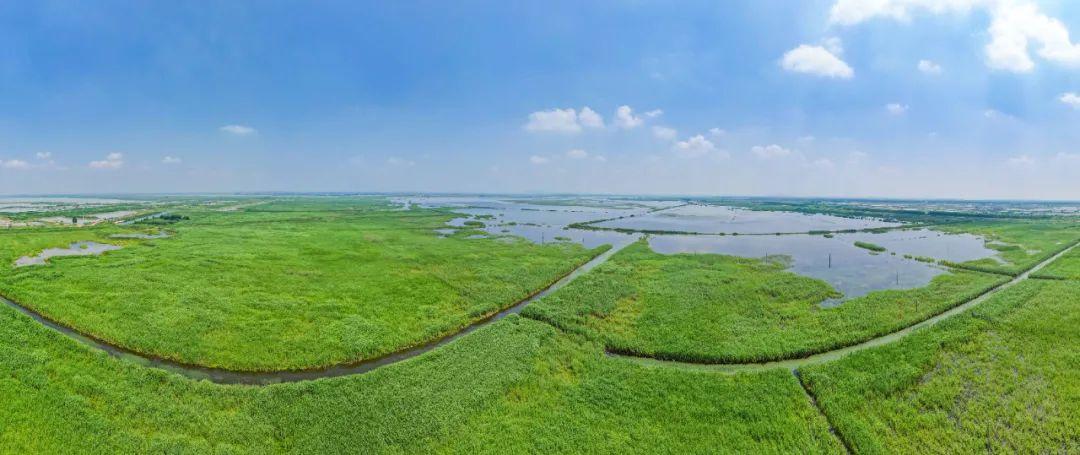 洪泽湖湿地有什么优势条件?(通湖草原观光车收费吗)-图1 洪泽湖湿地有什么优势条件?(通湖草原观光车收费吗)-图1
