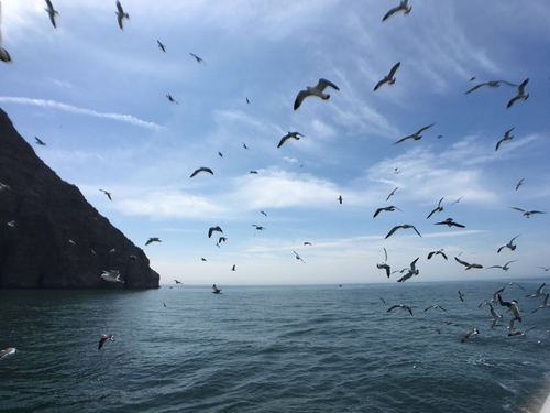 九月份北京周边适合去哪旅游？(万鸟岛收费)