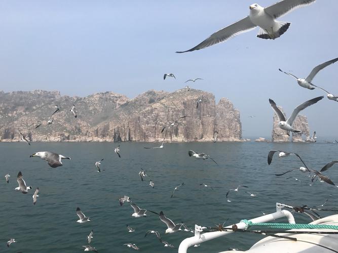 九月份北京周边适合去哪旅游？(万鸟岛收费)-图3