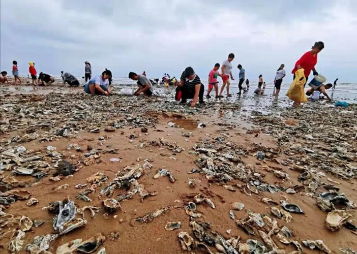 威海自己赶海后去哪里加工？(威海海鲜加工收费)
