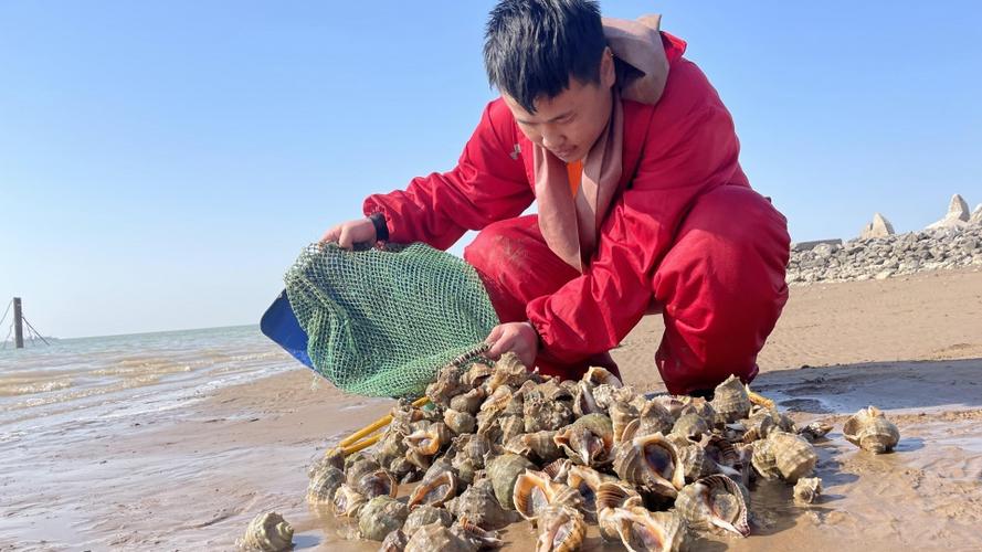 威海自己赶海后去哪里加工?(威海海鲜加工收费)-图2 威海自己赶海后去哪里加工?(威海海鲜加工收费)-图2