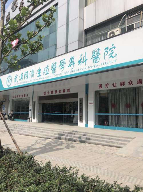 汉口的同济医院生殖科怎么样?(武汉同济生殖科收费)-图3 汉口的同济医院生殖科怎么样?(武汉同济生殖科收费)-图3