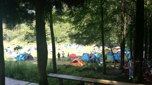 武陵山森林公园可以吊床吗(武陵山帐篷收费冲突)