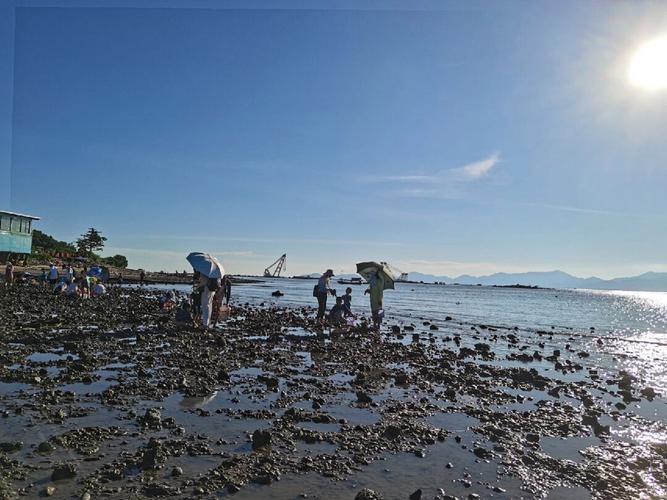 海陵岛赶海退潮时间?(阳江红树林收费吗)-图3 海陵岛赶海退潮时间?(阳江红树林收费吗)-图3
