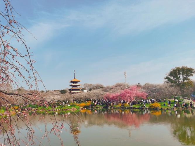 长白岛森林公园樱花园用门票吗？(武汉东湖樱花园收费吗)