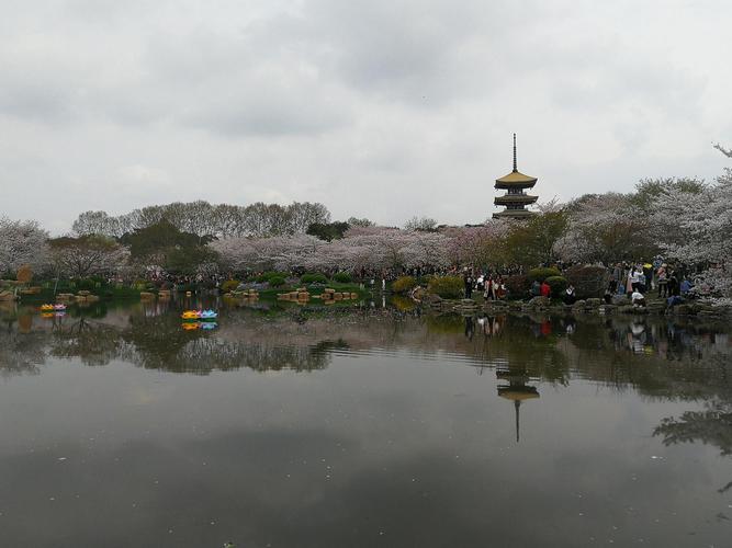 长白岛森林公园樱花园用门票吗?(武汉东湖樱花园收费吗)-图2 长白岛森林公园樱花园用门票吗?(武汉东湖樱花园收费吗)-图2