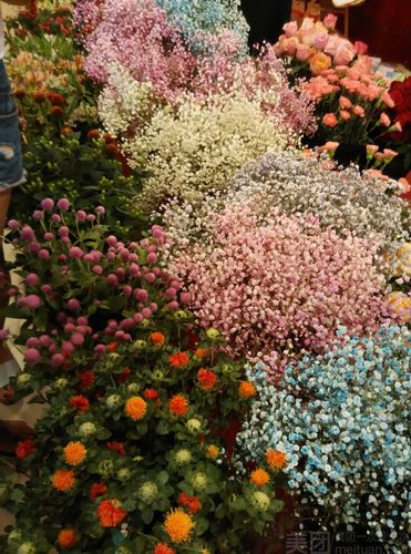 金堂鲜花谷收门票吗?(成都 送花快递收费)-图2 金堂鲜花谷收门票吗?(成都 送花快递收费)-图2