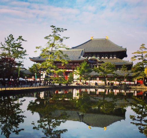 唐招提寺名字的由来?(唐招提寺收费么)-图1 唐招提寺名字的由来?(唐招提寺收费么)-图1