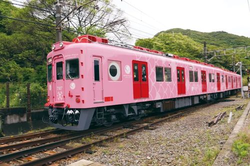 青岛适合孩子玩的岛?(日本南海电铁儿童收费吗)-图3 青岛适合孩子玩的岛?(日本南海电铁儿童收费吗)-图3