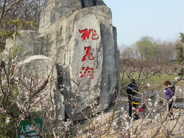 淮安桃花岛的桃花几月开？(淮安桃花岛收费吗)
