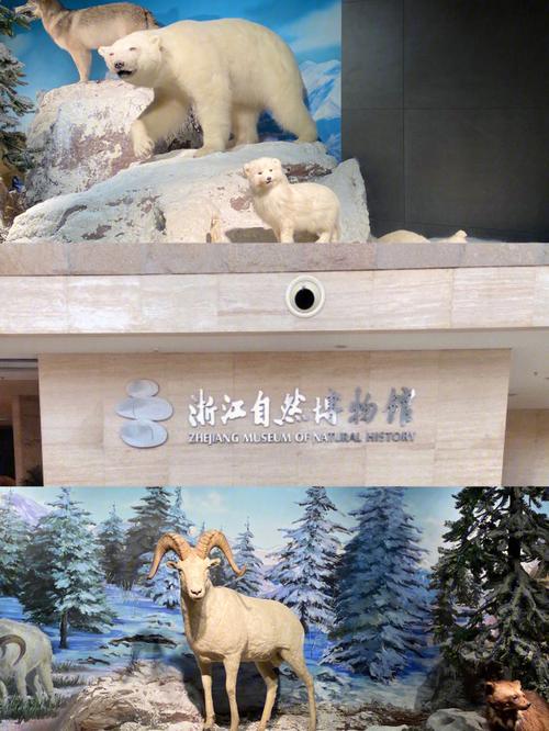 杭州自然博物馆没预约能买票吗？(杭州市自然博物馆收费吗)