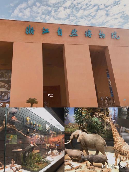 杭州自然博物馆没预约能买票吗?(杭州市自然博物馆收费吗)-图3 杭州自然博物馆没预约能买票吗?(杭州市自然博物馆收费吗)-图3