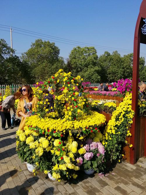 2022年湖熟菊花展门票价格？(江宁菊花展收费吗)