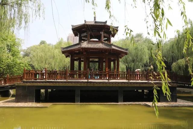 西安65岁不免票吗？(西安长乐公园收费标准)-图3