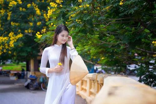找一个伴游一天需要多少钱?(越南私人收费标准)-图2 找一个伴游一天需要多少钱?(越南私人收费标准)-图2