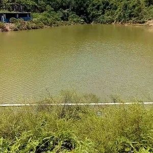 柳州钓鱼地点？(铜鼓岭 收费)