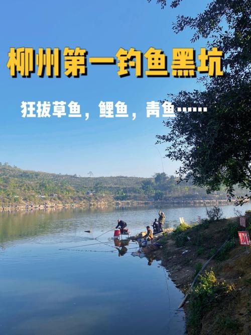 柳州钓鱼地点?(铜鼓岭 收费)-图2 柳州钓鱼地点?(铜鼓岭 收费)-图2