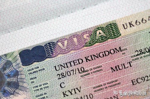 美国旅游签证滞留到期多久再去？(要收费evus)