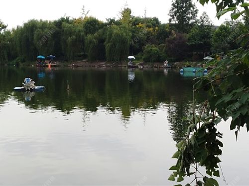 六合区周边钓鱼场所一览,南京六合区哪有钓鱼好地方?(黑坑天塘怎么收费怎么经营)-图3 六合区周边钓鱼场所一览,南京六合区哪有钓鱼好地方?(黑坑天塘怎么收费怎么经营)-图3