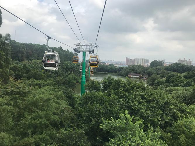 珠海长隆海洋王国有缆车吗?(广州长隆缆车看动物收费)-图3 珠海长隆海洋王国有缆车吗?(广州长隆缆车看动物收费)-图3