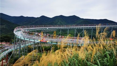 安吉潴口溪地公园门票多少钱?(新西兰高速如何收费)-图3 安吉潴口溪地公园门票多少钱?(新西兰高速如何收费)-图3