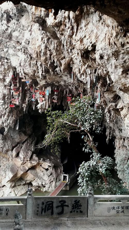燕子洞门票?(建水燕子洞门票老人怎么收费)-图3 燕子洞门票?(建水燕子洞门票老人怎么收费)-图3