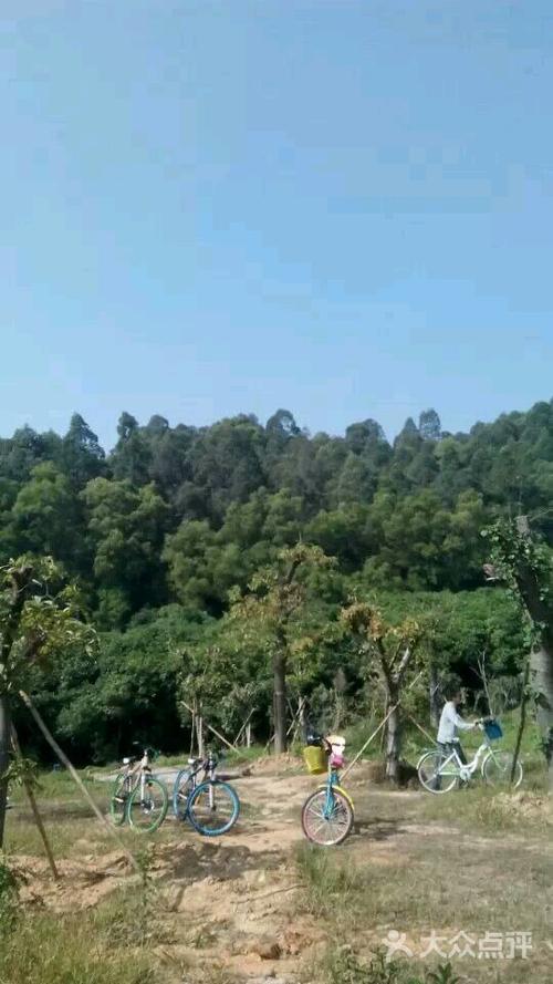 大夫山森林公园门票是多少？(大夫山森林公园烧烤收费标准)
